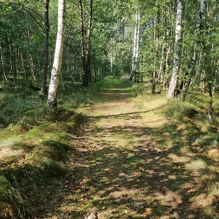 Lägenhet W Domu Na Lesnym Zaciszu *