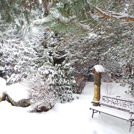 Na Lesnym Zaciszu Appartement Dziwiszow