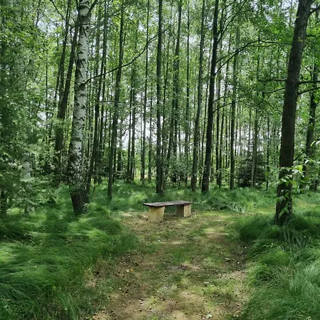 Appartement Na Lesnym Zaciszu