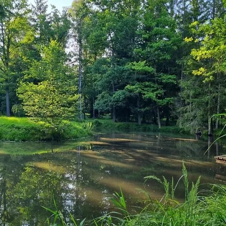 Na Lesnym Zaciszu * Dziwiszow