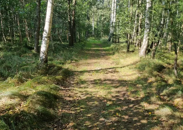 Daire Na Lesnym Zaciszu *