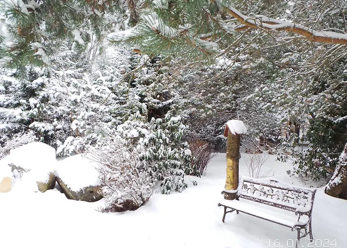 Na Lesnym Zaciszu Daire Dziwiszow