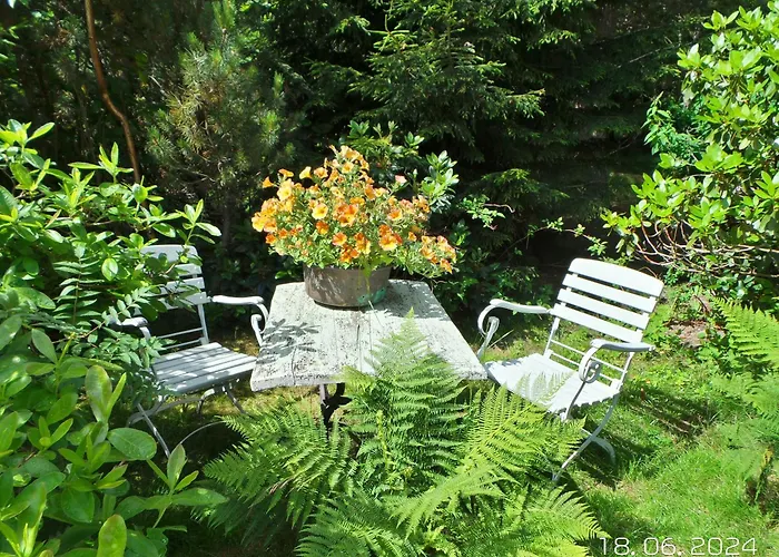 Daire Na Lesnym Zaciszu Dziwiszow