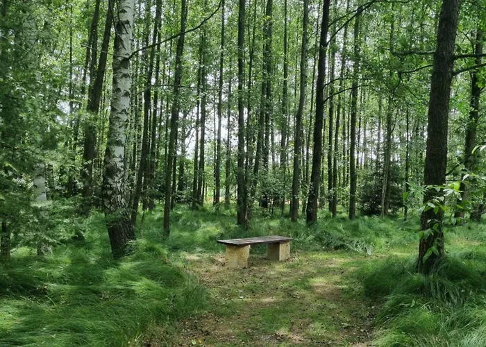 Daire Na Lesnym Zaciszu