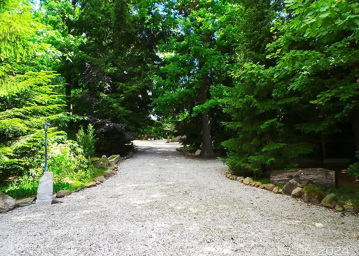 Na Lesnym Zaciszu Daire