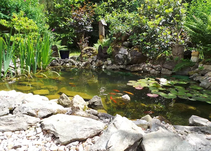 Na Lesnym Zaciszu Daire