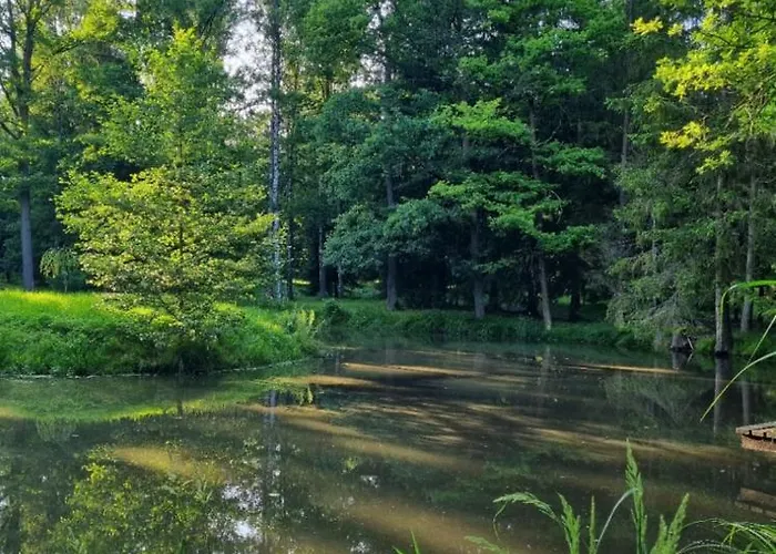 Na Lesnym Zaciszu * Dziwiszow