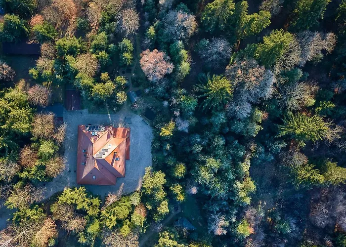 Na Lesnym Zaciszu * Dziwiszow